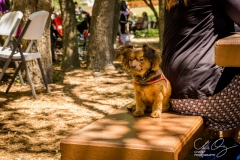 Photo by Chate Photography