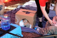 309198162_10160692965615962_4066856758407915514_n